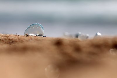 Blue Bubble