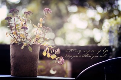 through my window