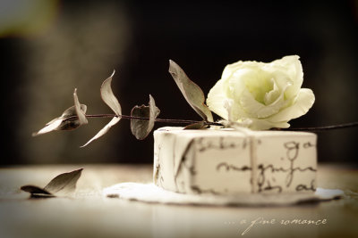 A Fine Romance