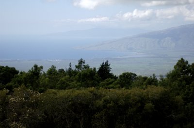 View on the way up Haleakala