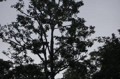 DSC_0025.jpg