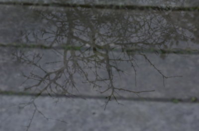 DSC_0041.jpg