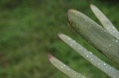 DSC_0046.jpg