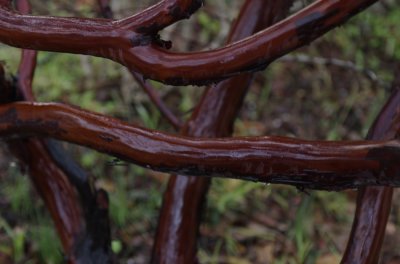 DSC_0004.jpg