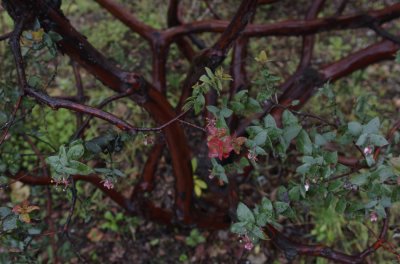DSC_0008.jpg