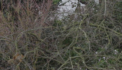 DSC_0016.jpg