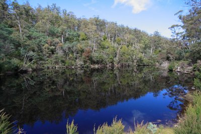 Reflections on the Anson River