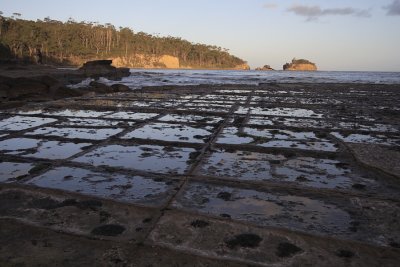 Tesselated pavement - Eaglehawk Neck