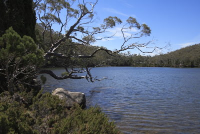 Mt Field National Park - Lake Dobson
