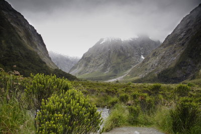 Fiordland National Park, near Milford Sound