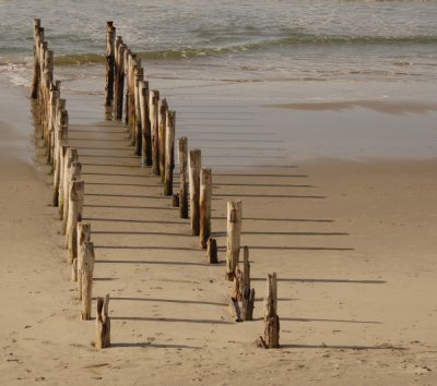 St Clair Beach, Dunedin