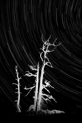 Star Trail at the Old McKenzie Highway