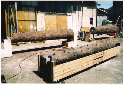 Word Forestry Museum tree fabrication