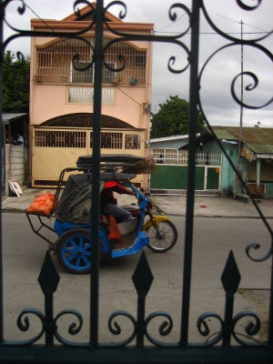 TriColor Tricycle