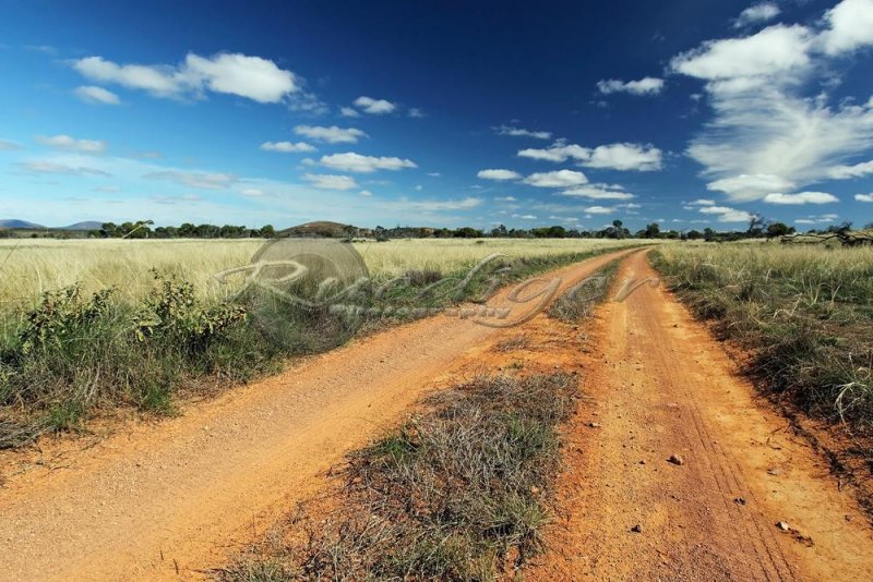 Gawler Ranges (100_7643)