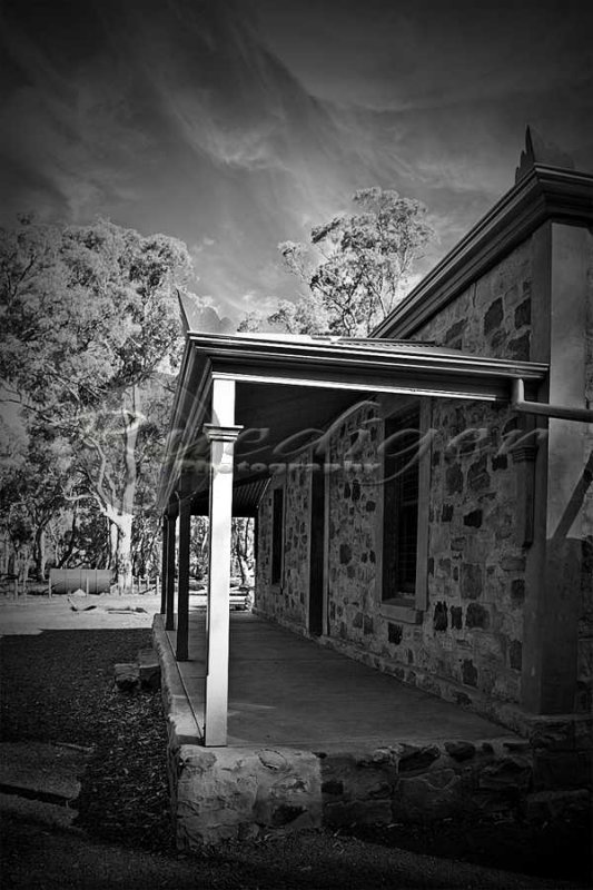 Flinders Ranges (915_0968)