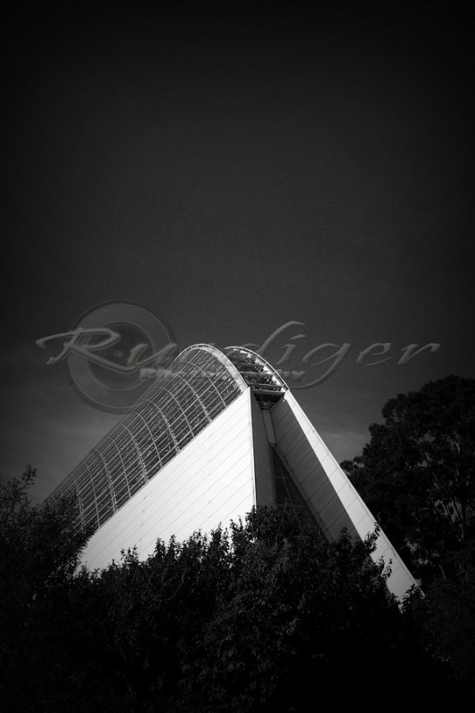 Adelaide Botanic Gardens (100_0814)