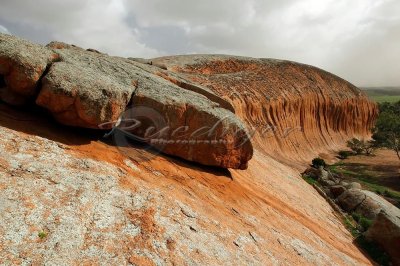 Pildappa Rock - Minnipa, South Australia (913_4078)