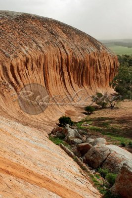 Pildappa Rock - Minnipa, South Australia (913_4077)
