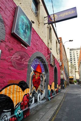 Adelaide street art (100_8050)