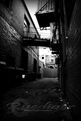 Alley (100_8069)