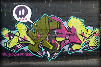 Adelaide street art (100_8334)