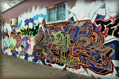 Adelaide street art (100_8251)