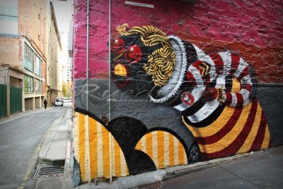 Adelaide street art (100_8070)