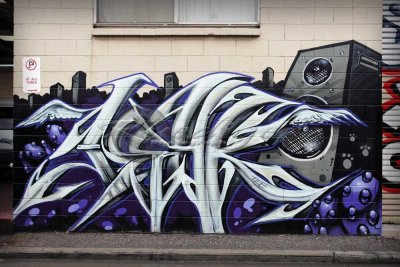 Adelaide street art (100_8722)