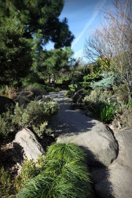 Adelaide Himeji Garden (100_9667)