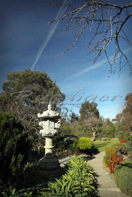 Adelaide Himeji Garden (100_9656)