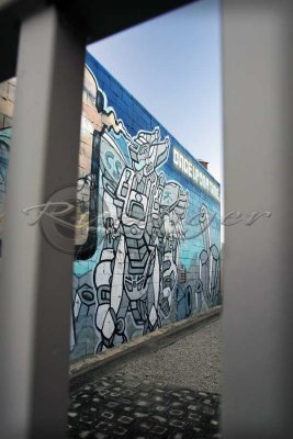 Adelaide street art (100_8646)