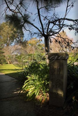 Adelaide Himeji Garden (100_9716)