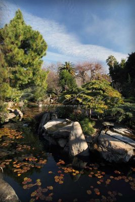 Adelaide Himeji Garden (100_9720)