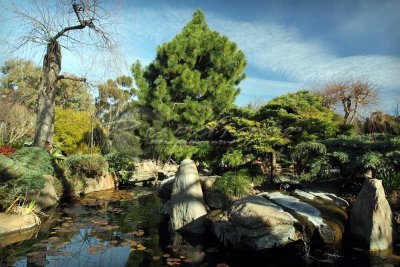 Adelaide Himeji Garden (100_9724)