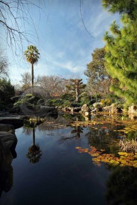 Adelaide Himeji Garden (100_9740)