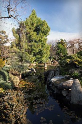 Adelaide Himeji Garden (100_9757)