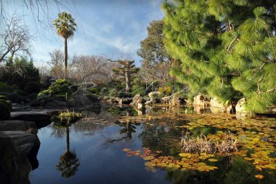 Adelaide Himeji Garden (100_9742)