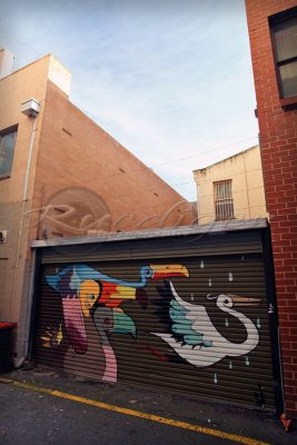 Adelaide street art (100_9631)