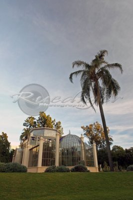 Adelaide Botanic Gardens (100_9605)