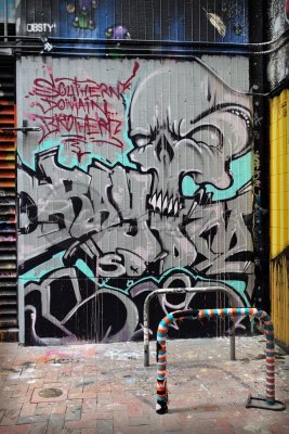 Adelaide street art (100_9815)