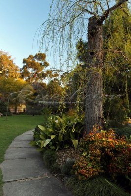Adelaide Himeji Garden (100_0401)