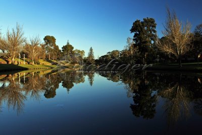 Torrens River (100_0435)