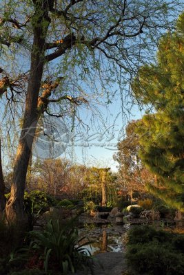 Adelaide Himeji Garden (100_0359)