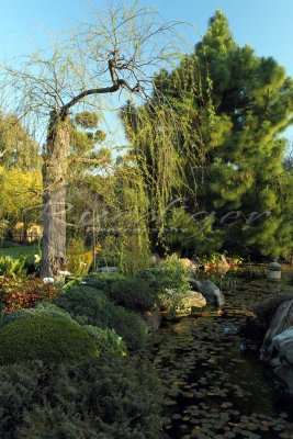 Adelaide Himeji Garden (100_0347)