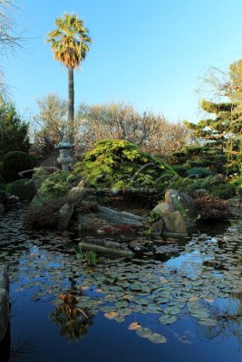Adelaide Himeji Garden (100_0366)