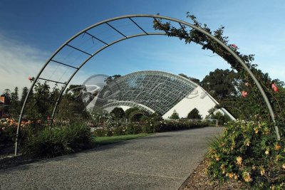 Adelaide Botanic Gardens (100_0788)