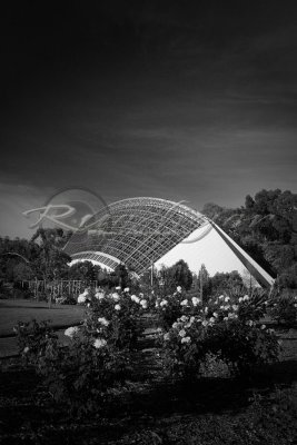 Adelaide Botanic Gardens (100_0806)