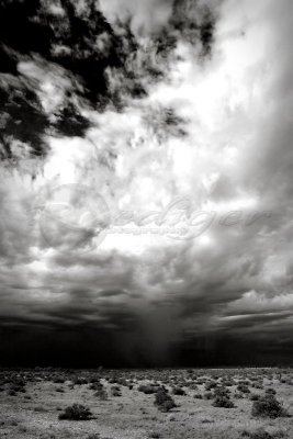 Storm (IMG_0454)