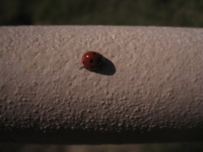 IMG_5783.jpg